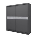 Szafa przesuwna Tiana 200 cm  Szary / Szary + Szare Szkło Lacobel