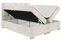 Łóżko boxspring ANTONIO kremowe, otwarte złota rama -Matt Velvet 06.