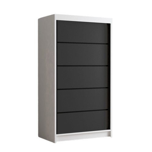 szafa do salonu LIWIO.jpg