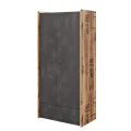Szafa 2d1s  FARGO FG-02  canion-raw steel.